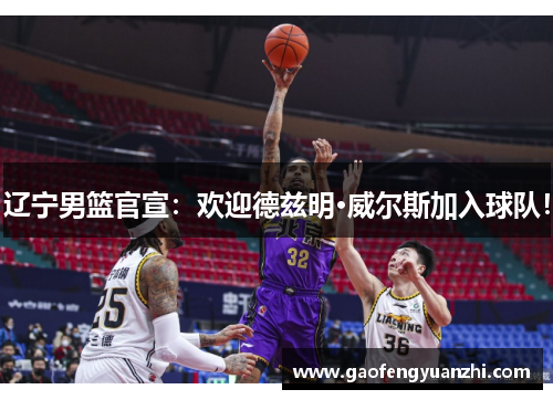 辽宁男篮官宣：欢迎德兹明·威尔斯加入球队！